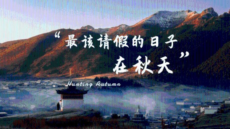 蜂蛹是靠吃什么长大的?